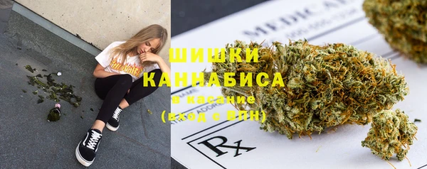 стафф Белокуриха