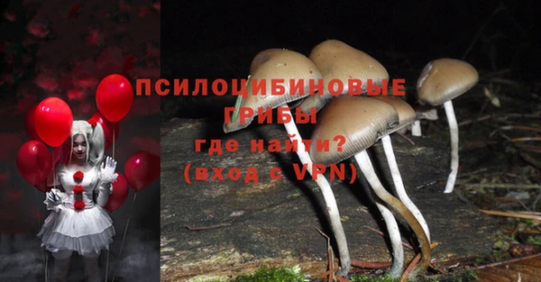 стафф Белокуриха