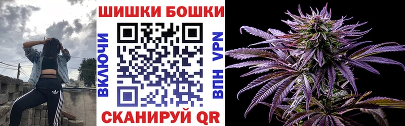 магазин    Плёс  Бошки Шишки план 